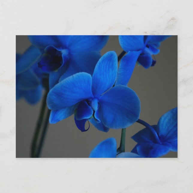 Postal Mistique azul (Anverso)