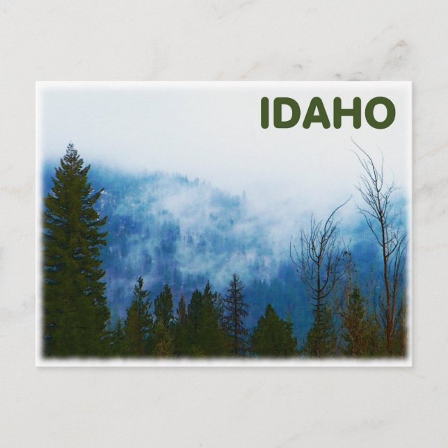 Postal Misty Gray (Anverso)