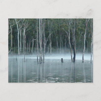 Postal Misty Gumtree