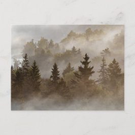 Postal Misty morning at the valley