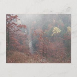 Postal Misty Otumn Woods