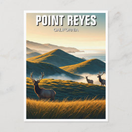 Postal Misty Point Reyes