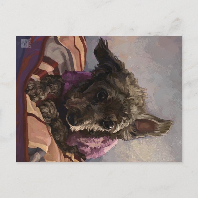 Postal Misty the Poodle (Anverso)