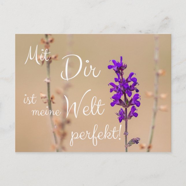 Postal ¡Mit Dir ist meine Welt perfekt! (Anverso)