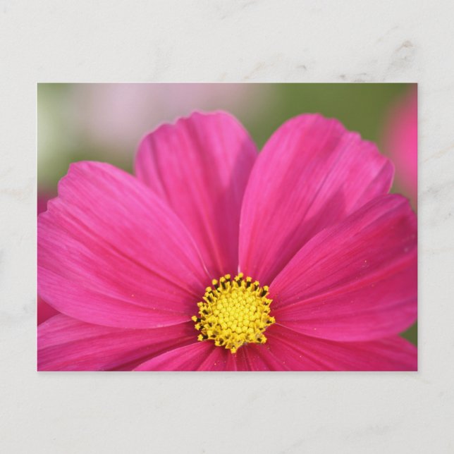 Postal Mitad de una belleza (Anverso)