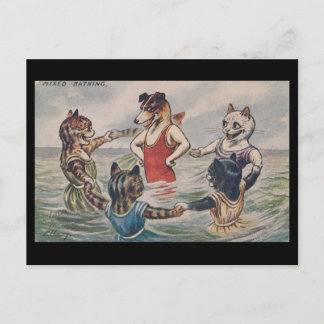 Postal Mixed Bathing - Dog and Cats Postcard