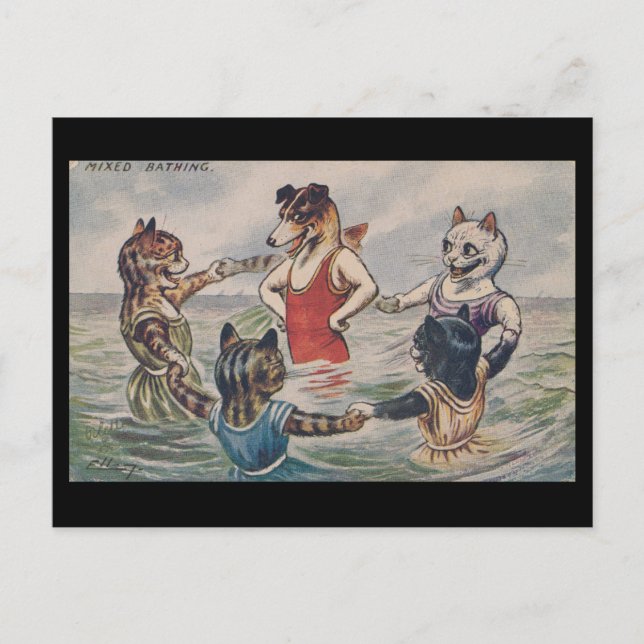 Postal Mixed Bathing - Dog and Cats Postcard (Anverso)
