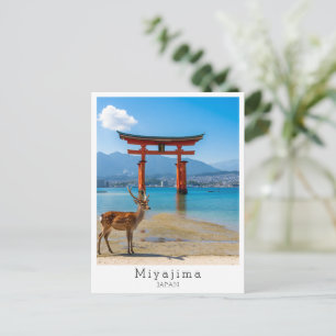 Postal Miyajima personalizado, Japón