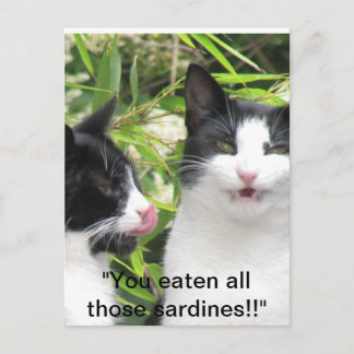Postal "¡¡¡¡¡¡¡mmmmm sardinas!!!!