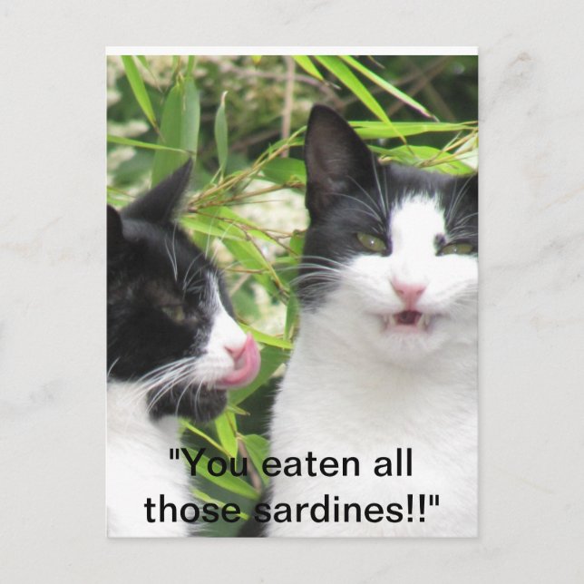 Postal "¡¡¡¡¡¡¡mmmmm sardinas!!!! (Anverso)