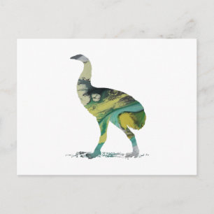 Postal Moa Bird Art