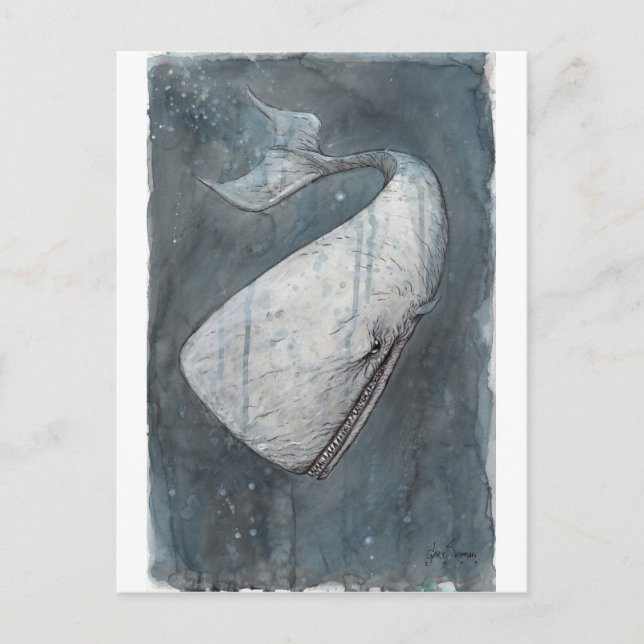 Postal Moby Dick (Anverso)
