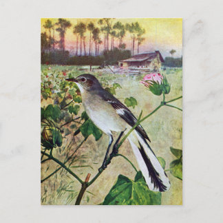 Postal Mockingbird