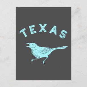 Postal Mockingbird Texas State Bird Aqua Blue and Grey