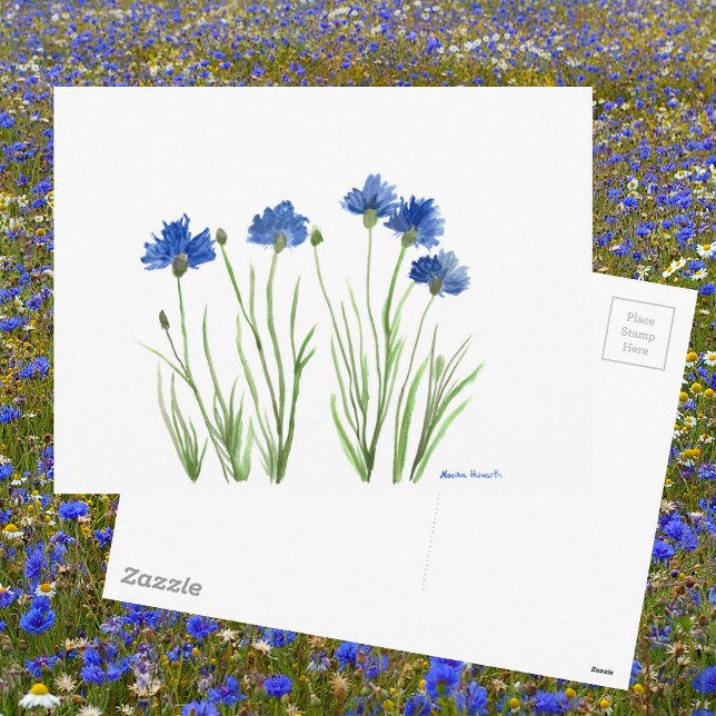 Postal Moda floral azul acuarela rústica Cornflowers (Subido por el creador)