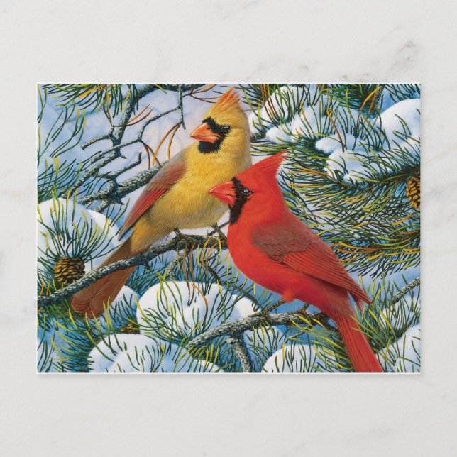 Postal Moda Hermosos Navidades Cardenales Rojos Y Nieve (Anverso)