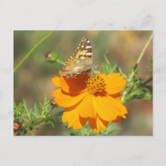 Postal Moda sobre la flor amarilla