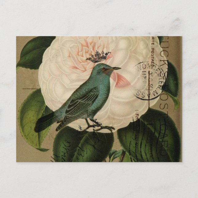 Postal Moda Vintage Bird camellia arte botánico francés (Anverso)