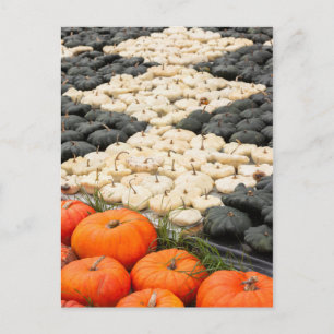 Postal Modalidades de calabaza y calabaza, Alemania