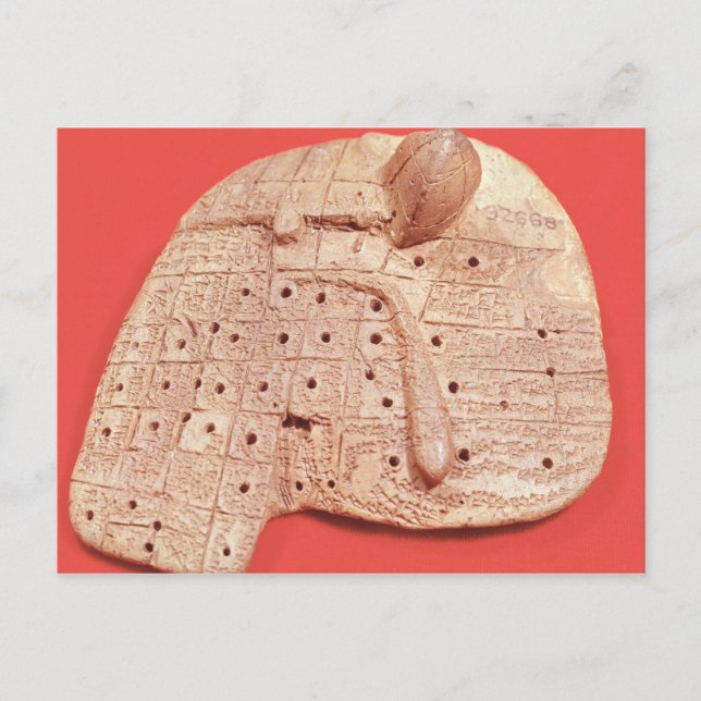 Postal Modelo de hígado de oveja (Anverso)