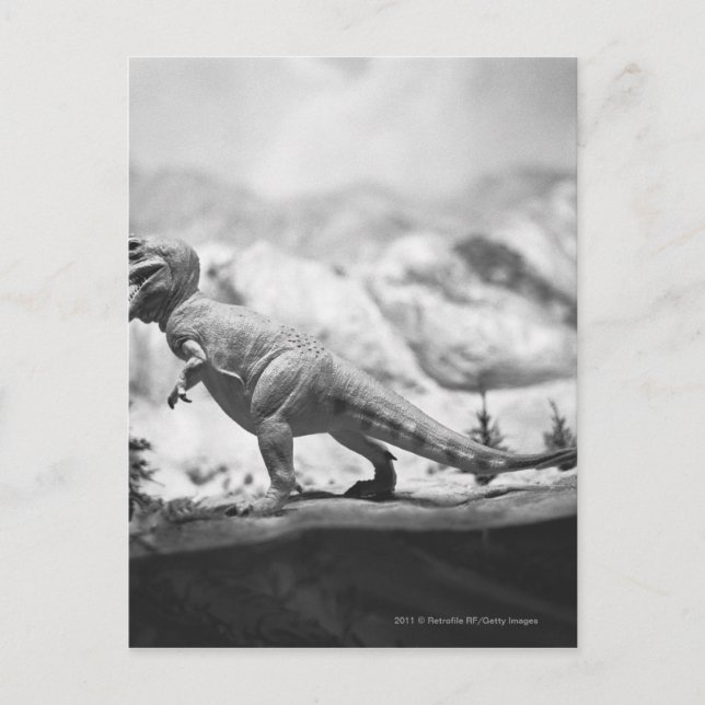 Postal Modelo del rex B&W del tyrannosaurus (Anverso)