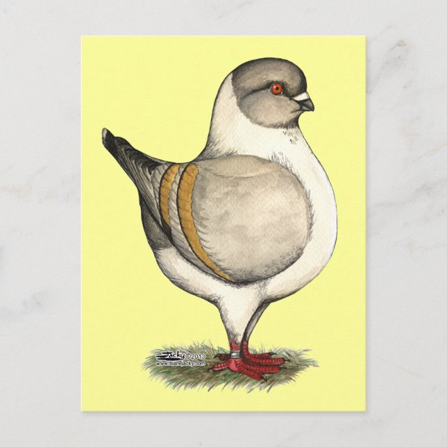 Postal Modena Silver Gazzi (Anverso)