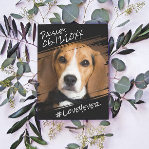 Postal Moderno Chic Elegante Sencillo Recuerdo de Perro N