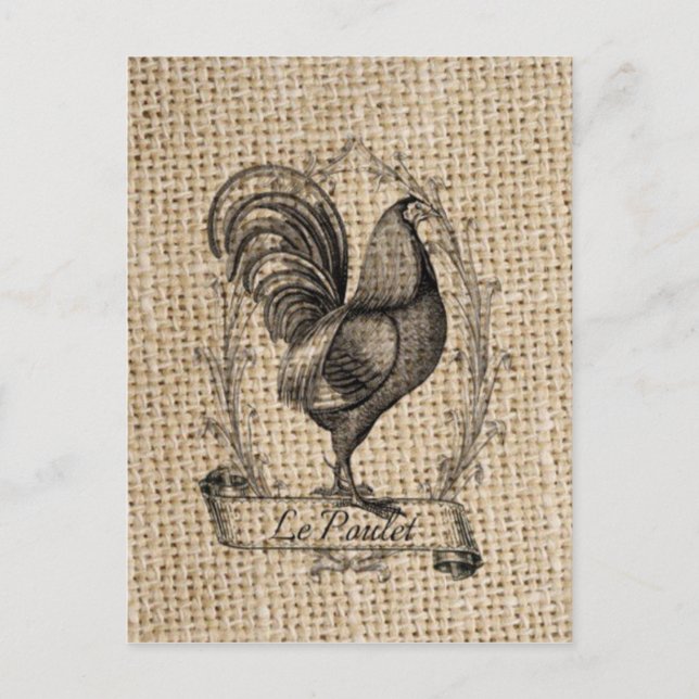 Postal Moderno gallo de campo de pollo de granja francés (Anverso)