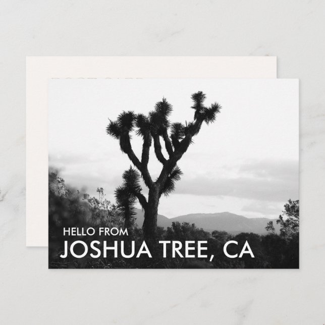 Postal Moderno Hola en negro y blanco desde Joshua Tree (Anverso / Reverso)
