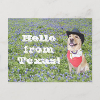 Postal Moisés en Bluebonnets
