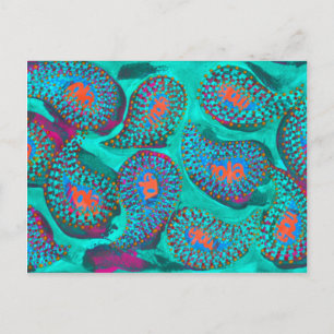 Postal Mola de Paisley, mola Paisley
