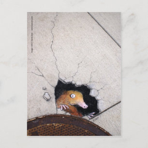 Postal mole incómoda