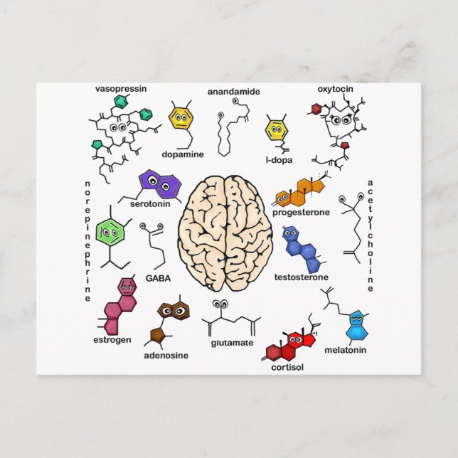 Postal ¡moléculas Galore! (Anverso)