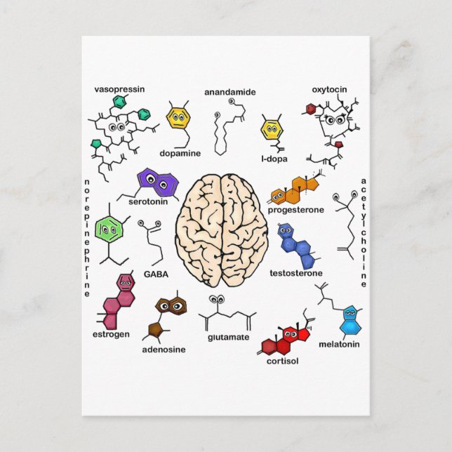 Postal ¡moléculas Galore! (Anverso)