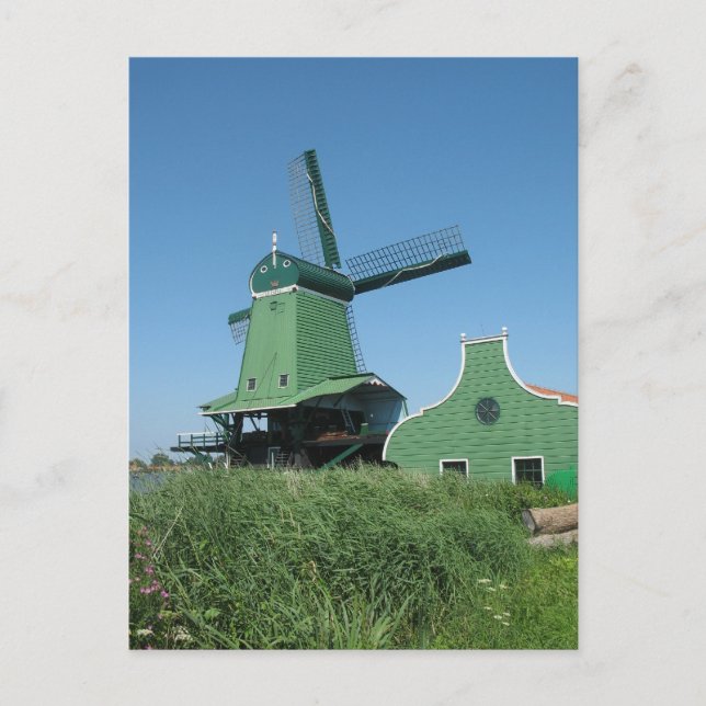 Postal Molino de sera en Holanda (Anverso)