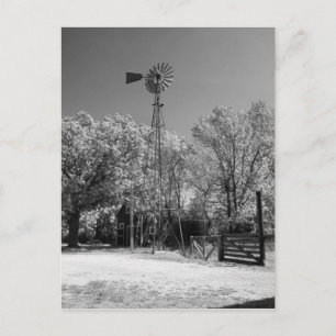 Postal Molino de viento