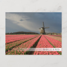 Postal Molino de viento con tulipanes rosados en primaver