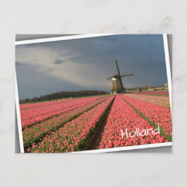 Postal Molino de viento con tulipanes rosados en primaver
