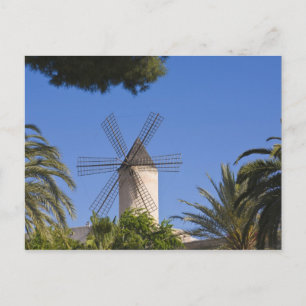 Postal Molino de viento, Palma, Mallorca, España