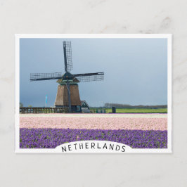 Postal Molino de viento tradicional con flores rosadas y 