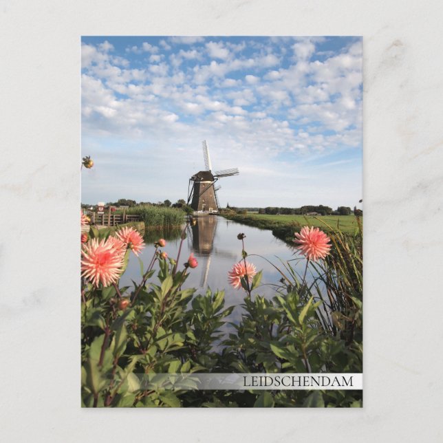 Postal Molino de viento y flores en Leidschendam (Anverso)