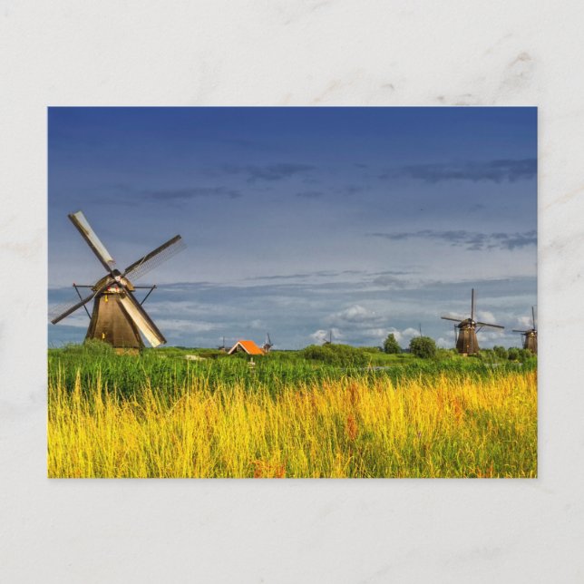 Postal Molinos de viento en Kinderdijk, Holanda, Países B (Anverso)