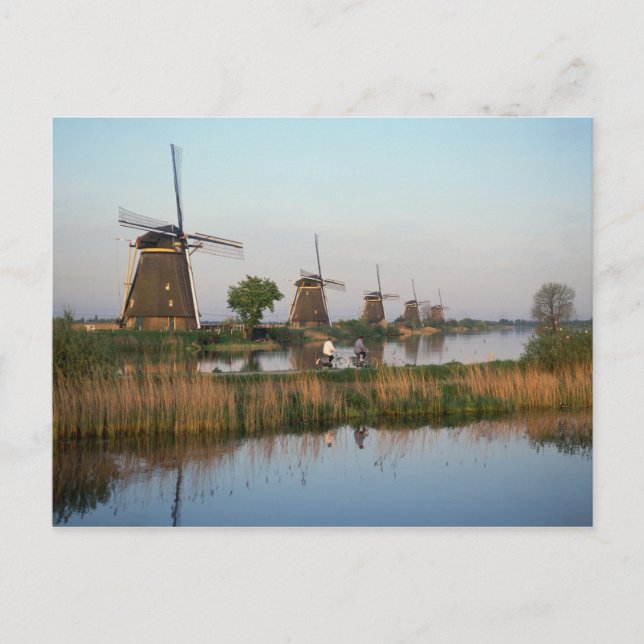 Postal Molinos de viento, Kinderdijk, Países Bajos (Anverso)