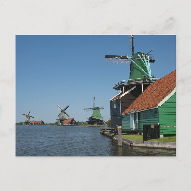 Postal Molinos de viento Zaanse Schans en Holanda (Anverso)