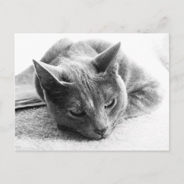 Postal Mollie (Anverso)
