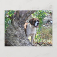 Molly "Alguien dice PLAYTIME"