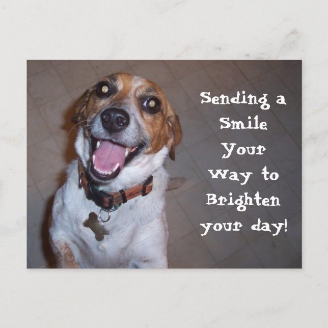 Postal ¡Molly Sonríe! (Anverso)