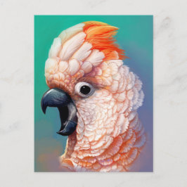 Postal Moluccan Cockatoo