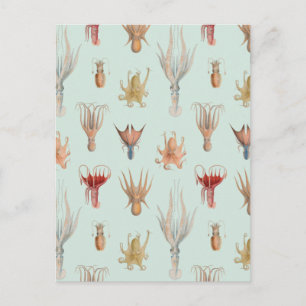 Postal Moluscos Vintage (Azul)