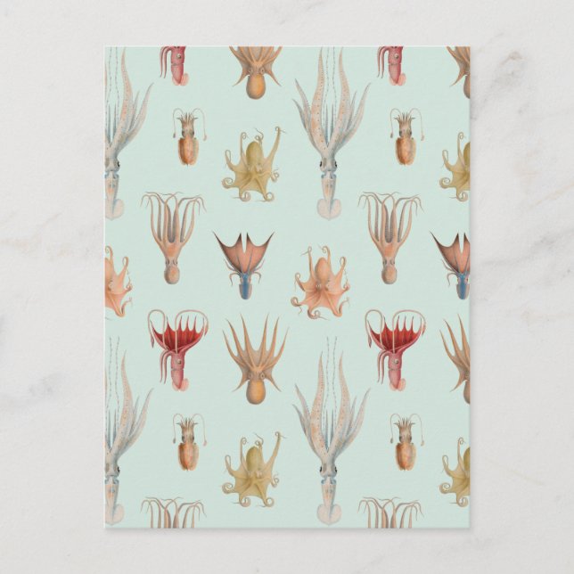 Postal Moluscos Vintage (Azul) (Anverso)